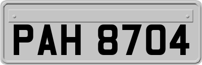 PAH8704