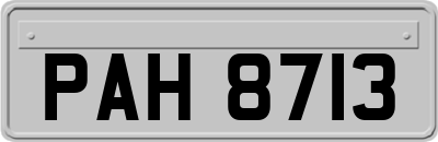 PAH8713
