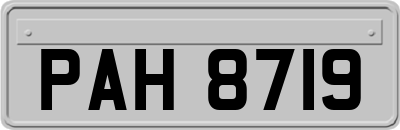 PAH8719