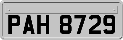 PAH8729