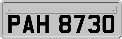 PAH8730