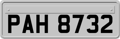 PAH8732
