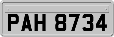 PAH8734