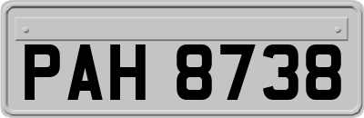 PAH8738