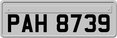 PAH8739