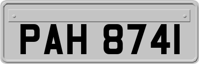 PAH8741