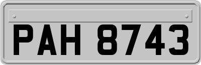 PAH8743