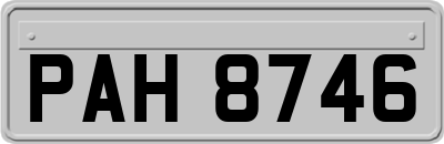 PAH8746