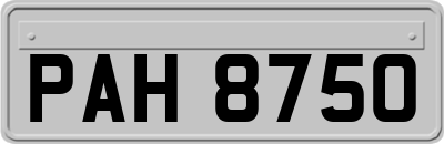 PAH8750