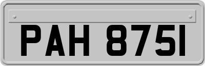 PAH8751