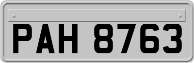 PAH8763