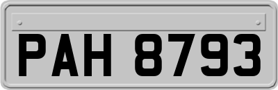 PAH8793