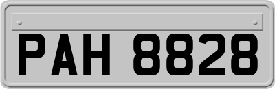 PAH8828