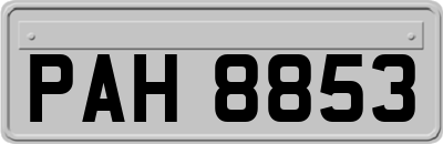 PAH8853