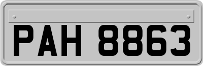PAH8863