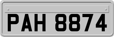 PAH8874