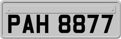 PAH8877