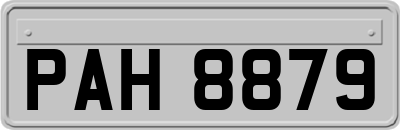 PAH8879