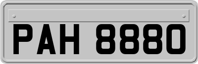PAH8880