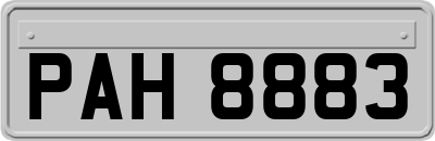 PAH8883