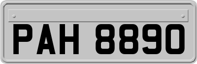 PAH8890