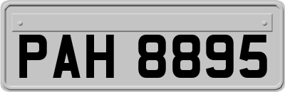 PAH8895