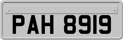 PAH8919