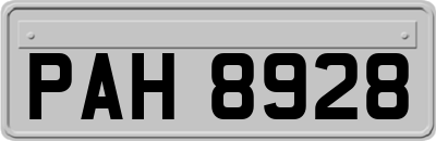PAH8928