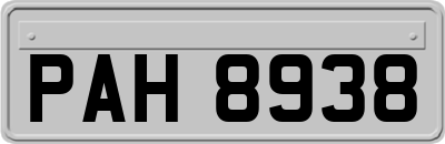 PAH8938