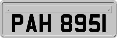 PAH8951