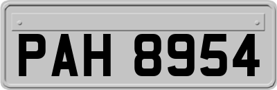 PAH8954