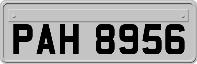 PAH8956