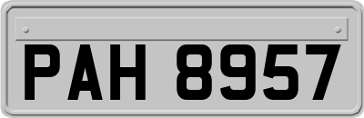PAH8957