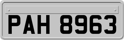 PAH8963