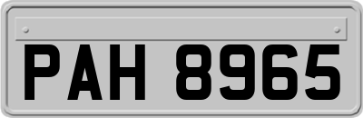 PAH8965