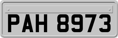 PAH8973