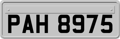 PAH8975