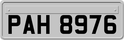 PAH8976