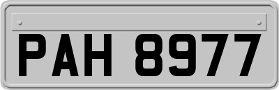 PAH8977