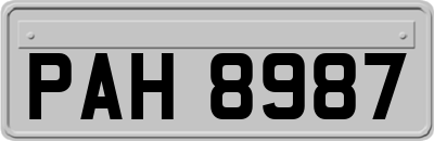 PAH8987