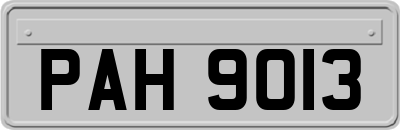 PAH9013