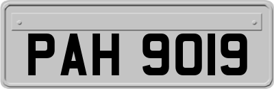 PAH9019