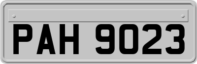 PAH9023