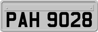 PAH9028