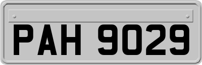 PAH9029