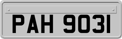 PAH9031