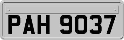 PAH9037