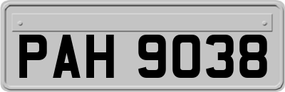 PAH9038
