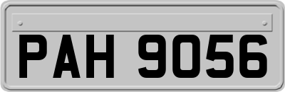 PAH9056