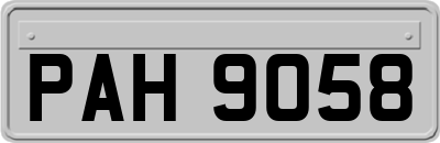 PAH9058